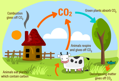 What does carbon dioxide do to the atmosphere?
